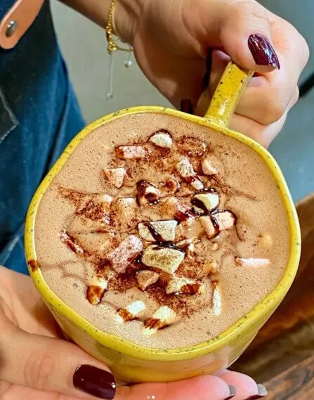 Rich hot chocolate with marshmallows and chocolate drizzle